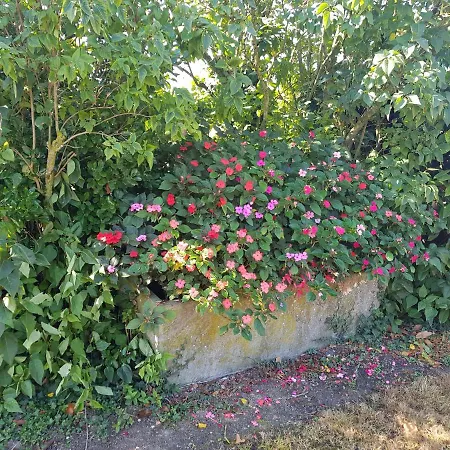 A la Campagne ,Halte ,Séjour et Détente Moncontour  Extérieur photo